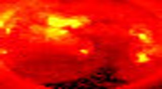 วันคุ้มครองโลก