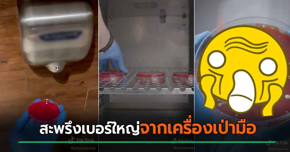 open proof clip How dirty is the hand dryer in the bathroom? Must see